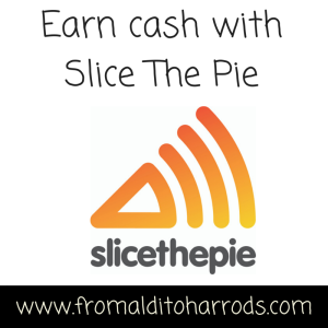 Earn cash with Slice The Pie