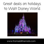 Great deal on Disneyworld holidays